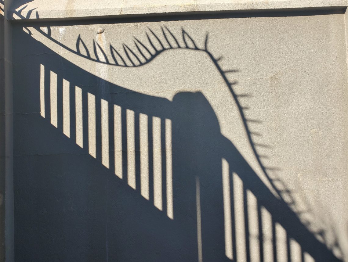 With all the interesting architecture in Charleston, there are many beautiful shadows cast. The gate and protective ironwork casting this shadow are on Orange Street -- guarding the entrance to back drive for the grand Col. John Stuart House (c. 1767-72).