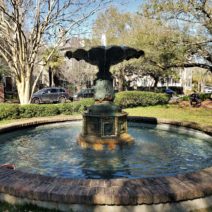 This pretty fountain can be found in the the Chapel Street Fountain Park.  Like its fellow "pocket parks," it is a little downtown oasis. 