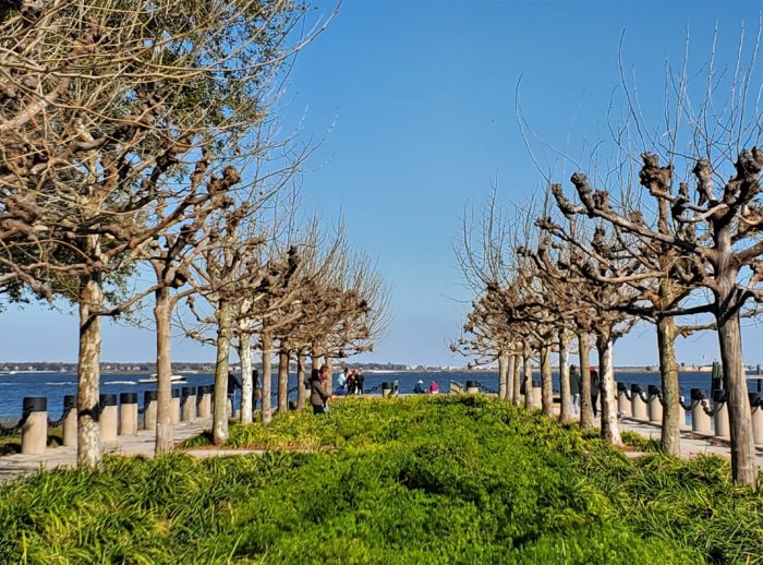 In the background of this pretty view of Waterfront Park, there is an Irish flag flying on Castle Pinckney on Shutes Folly in honor of the day.