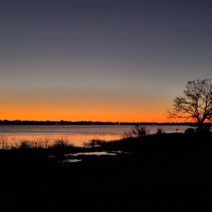 A beautiful sunset across the Ashley River as seen from Brittlebank Park.  A little further up the river is Charles Towne Landing, home to the first English settlement in the Carolinas -- founded 350 years ago. Charles Towne Landing is now a wonderful state park, and well worth the visit.