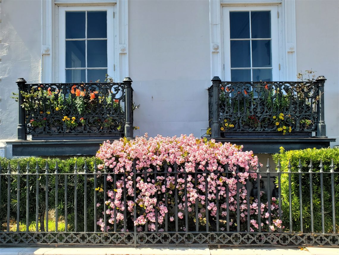 This pretty scene is on the front side of 1 East Battery (c. 1860) -- a grand three story house. The cast iron balconies were added after the Civil War in about 1888. Their view is across the High Battery to the harbor. The grand side piazzas of the house provide a spectacular view of White Point Garden.