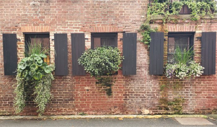 These cool window boxes are on Elliott Street, right around the corner from Rainbow Row.