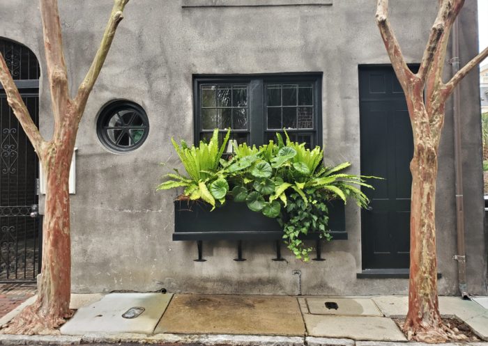 This incredible window box can be found on the building that in 1732 was Poinsett's Tavern on Elliot Street. Poinsett's descendant, Joel, was the ambassador to Mexico and is credited with introducing the poinsettia to the United States.