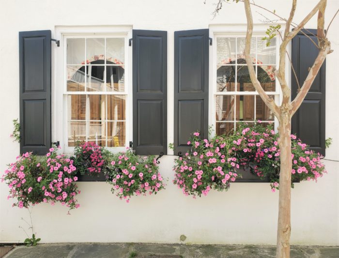 This pretty Charleston scene can be found on Water Street, which had been Vanderhorst Creek -- until it was filled in in 1791.