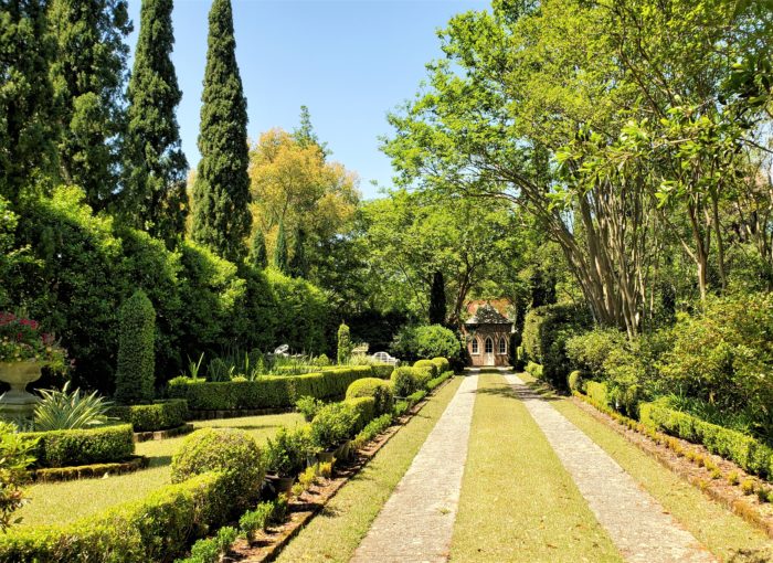 This driveway and garden can be found on Montagu Street in the Harleston Village neighborhood of Charleston. Beautiful. 