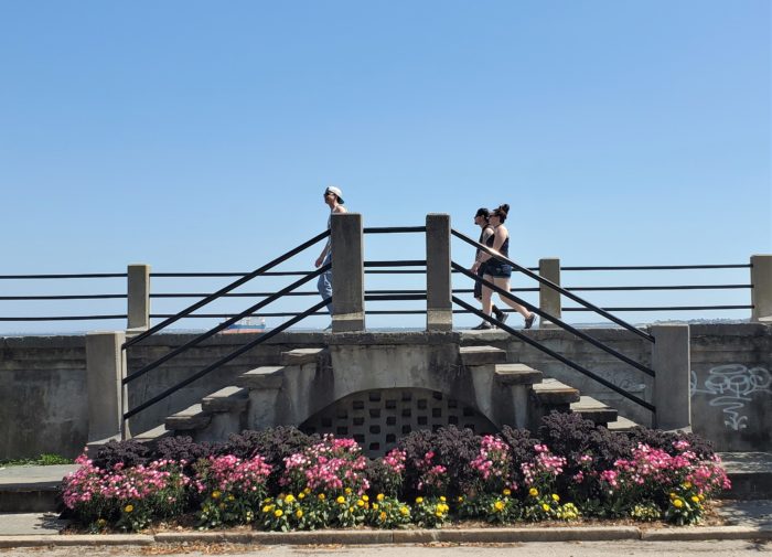 Strolling along the High Battery is one of the great things to do in Charleston. A common misconception is that the street that it runs along is East Bay Street.  Ah contraire! It is East Battery (up to about Water Street)  :)