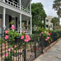 This classic Charleston scene on Atlantic Street is in front of a house that was built in 1890 -- one of two identical ones that replaced a larger house that had been destroyed in an earthquake.