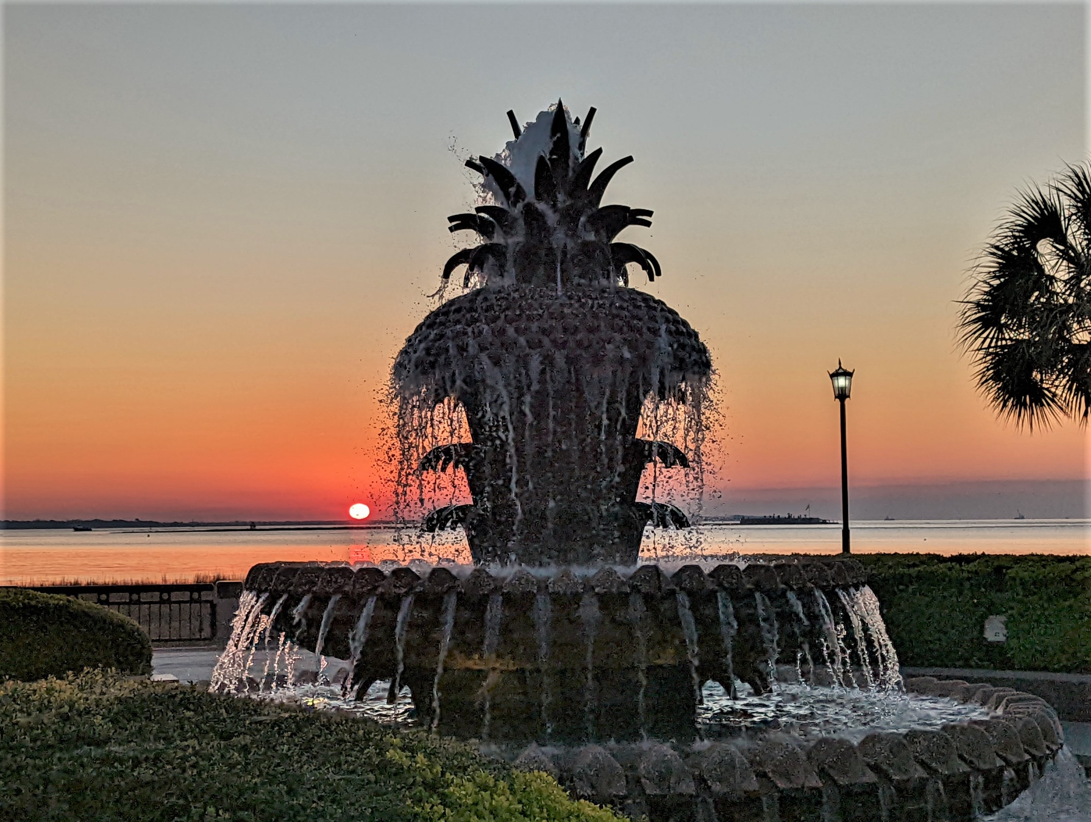 Joe Riley Waterfront Park Wedding